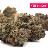 Premium indoor Russian Runtz THCA flower with tropical citrus aroma and dense buds