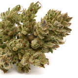 Sauerkraut THCa Hemp Flower with purple punch buds and dense white trichomes