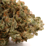 Dried Sour Brûlée CBD Hemp Flower Full-Term with trichomes and orange pistils