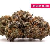 Dense Southern Peaches indoor THCa flower with orange hairs and purple hues, mushy texture