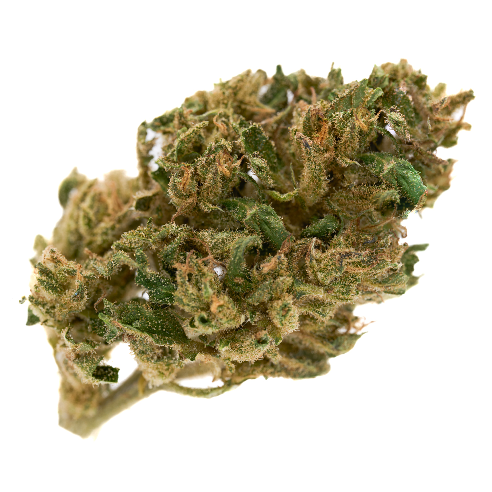 Dried CBD Hemp Flower with trichomes in Spectrum CBD Thca Flower product