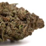 Studio 54 THCa Hemp Flower Greenhouse