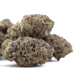 Sugar THCa Hemp Flower Greenhouse