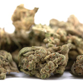 TriCross THCa Flower Smalls Full-Term