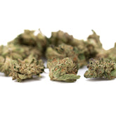 White Runtz THCa hemp flower full-term smalls with light green buds and orange hairs