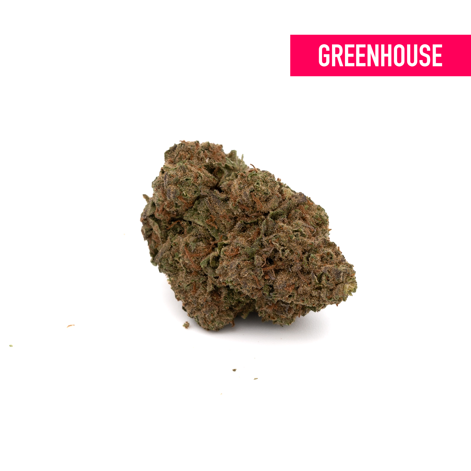 ACDC THCa Hemp Flower Greenhouse - Plants