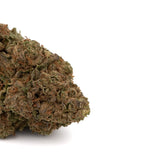 ACDC THCa Hemp Flower Greenhouse - Plants