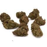 ACDC THCa Hemp Flower Greenhouse - Plants