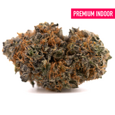 Dense Sunset Sherbet indoor THCa flower bud with trichomes and orange pistils