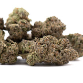 Premium After Dark #2 Sunset Sherbet THCa Hemp Flower Buds