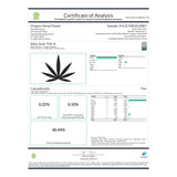 After Dark THCa Flower - Plants