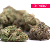 Greenhouse after dark thca hemp flower buds with dense textured dark thca hemp in green and brown shades