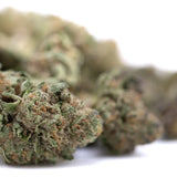 Green and brown thca flower buds with dense frosty texture from after dark greenhouse smalls for kush mints fans