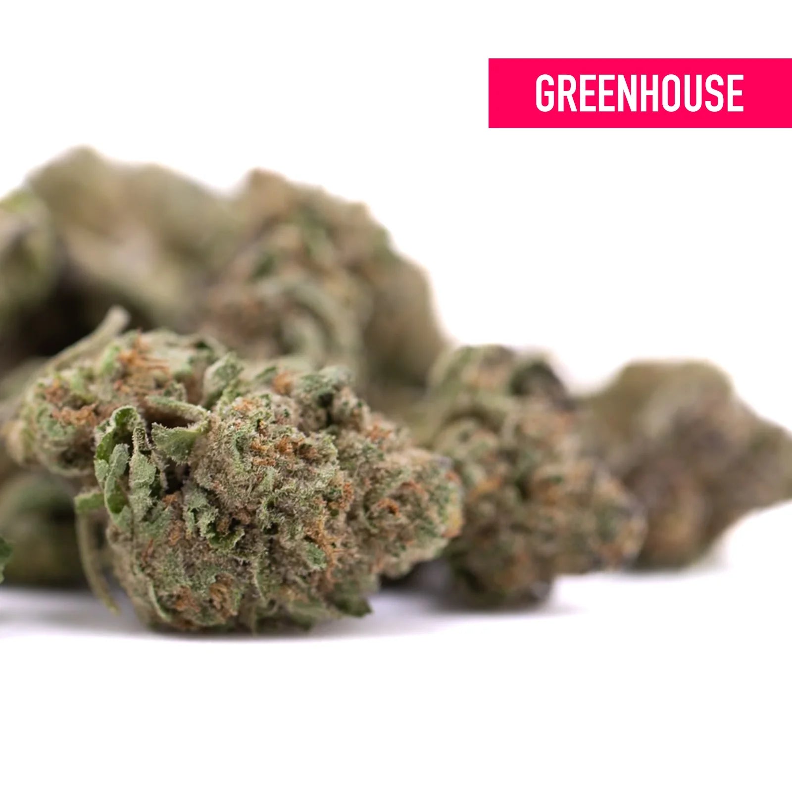 After dark thca greenhouse smalls wholesale featuring greenish thca flower buds with orange trichomes like sunset sherbet