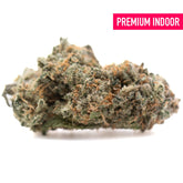 A dense resinous alaskan huckleberry diesel indoor thca flower bud with green orange hues and white trichomes