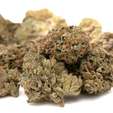 Ambrosia THCa Flower - Plants