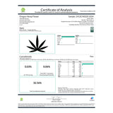 Apex THCa Hemp Flower Greenhouse - Plants