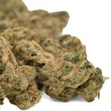 Apex THCa Hemp Flower Greenhouse - Plants