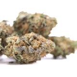 A dense green and orange astroboy greenhouse cannabis bud with frosty white trichomes showcasing thca concentration
