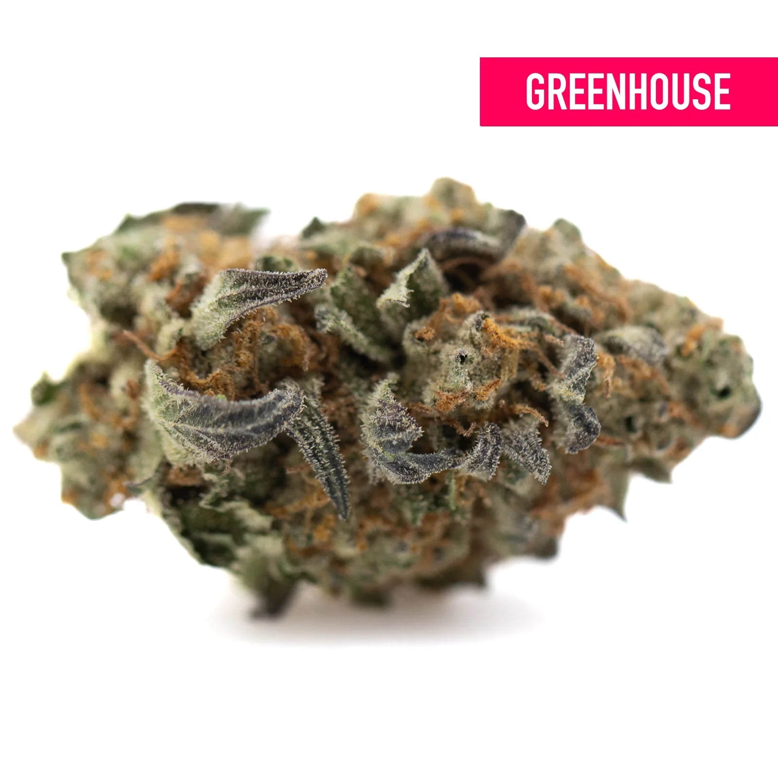 A dense green and orange astroboy greenhouse thca hemp flower bud with frosty textured surface and high thca concentration