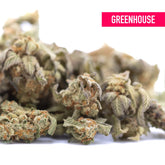 Astroboy thca hemp flower greenhouse smalls show dense frosty buds with orange pistils highlighting terpene expression