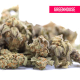 Astroboy thca hemp flower greenhouse smalls show dense frosty buds with orange pistils highlighting terpene expression