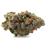 Dense green astroboy thca hemp flower with frosty trichomes and orange pistils highlighting sweet buttery ortega x cinderella traits