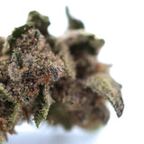 A dense green and brown bahama bussdown thca small hemp flower bud covered in fine trichomes and leafy structures