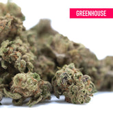 Mature bahama bussdown’s thca small hemp flower with dense green buds covered in trichomes and orange pistils