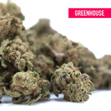 Mature bahama bussdown’s thca small hemp flower with dense green buds covered in trichomes and orange pistils