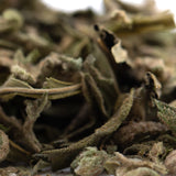 Dried sage leaves with silvery green hue and fuzzy texture featured alongside banana og full-term thca shake trim wholesale