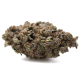 Banjerine full-term dense cannabis bud with tangelo genetics bright citrus notes and green purplish hues covered in trichomes