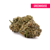 Biscotti THCa Hemp Flower Greenhouse - Plants