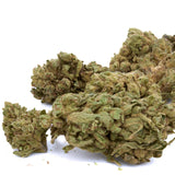 Biscotti THCa Hemp Flower - Plants