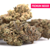 Premium black amber indoor thca flower with dense greenish brown trichomes from elite indoor cultivation kush bx2 exotic dark