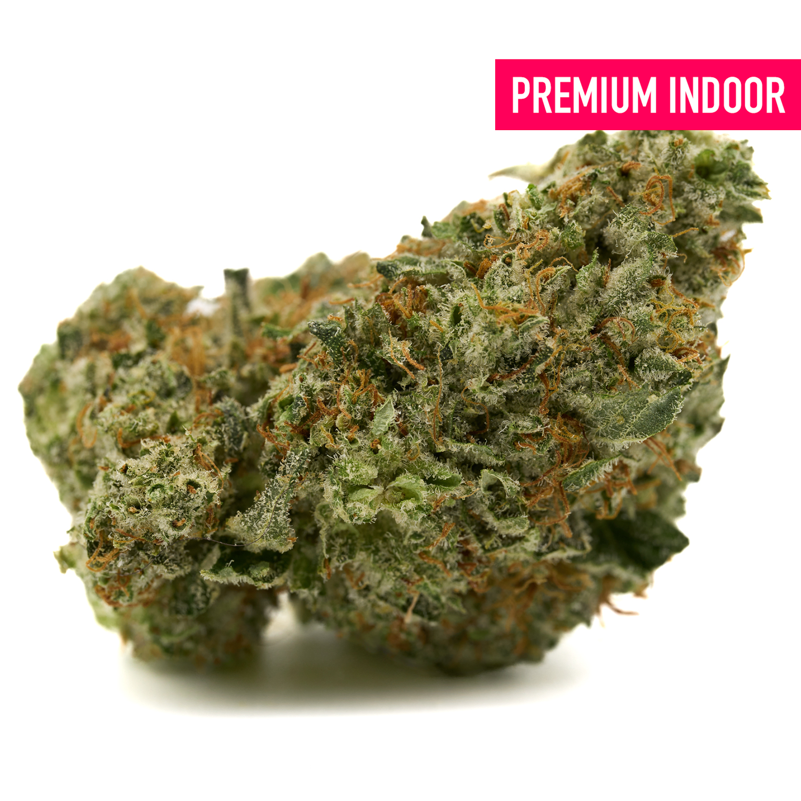 Black Cherry THCA Flower with dense trichome-covered buds and orange pistils