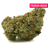 Black Cherry THCA Flower with dense trichome-covered buds and orange pistils