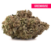 Black Ice THCa hemp flower: green bud with white trichomes, sweet berry hues