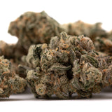 Close-up of Blue Dream THCa Flower with trichomes, orange hairs, and green-purple hues