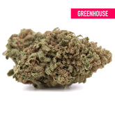 A dense textured blue dream’s hemp flower with green and brown hues covered in fine trichomes greenhouse thca
