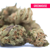 Blue dream thca hemp flower with dense green and purple-tinged trichomes blueberry indica greenhouse smalls bud