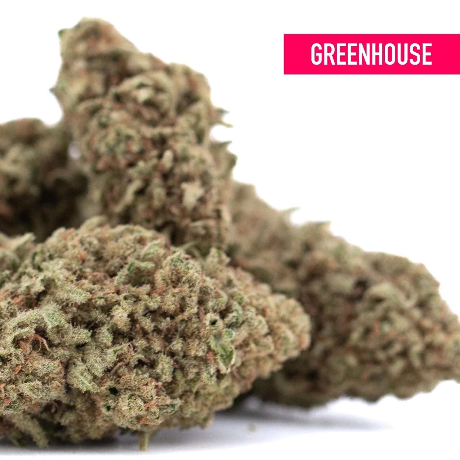 Greenhouse legendary blue dream THCa hemp flower with dense green and brown buds for mainstream accessibility