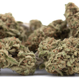 Lush dense cannabis buds with green and brown hues of the legendary blue dream thca hemp flower greenhouse wholesale