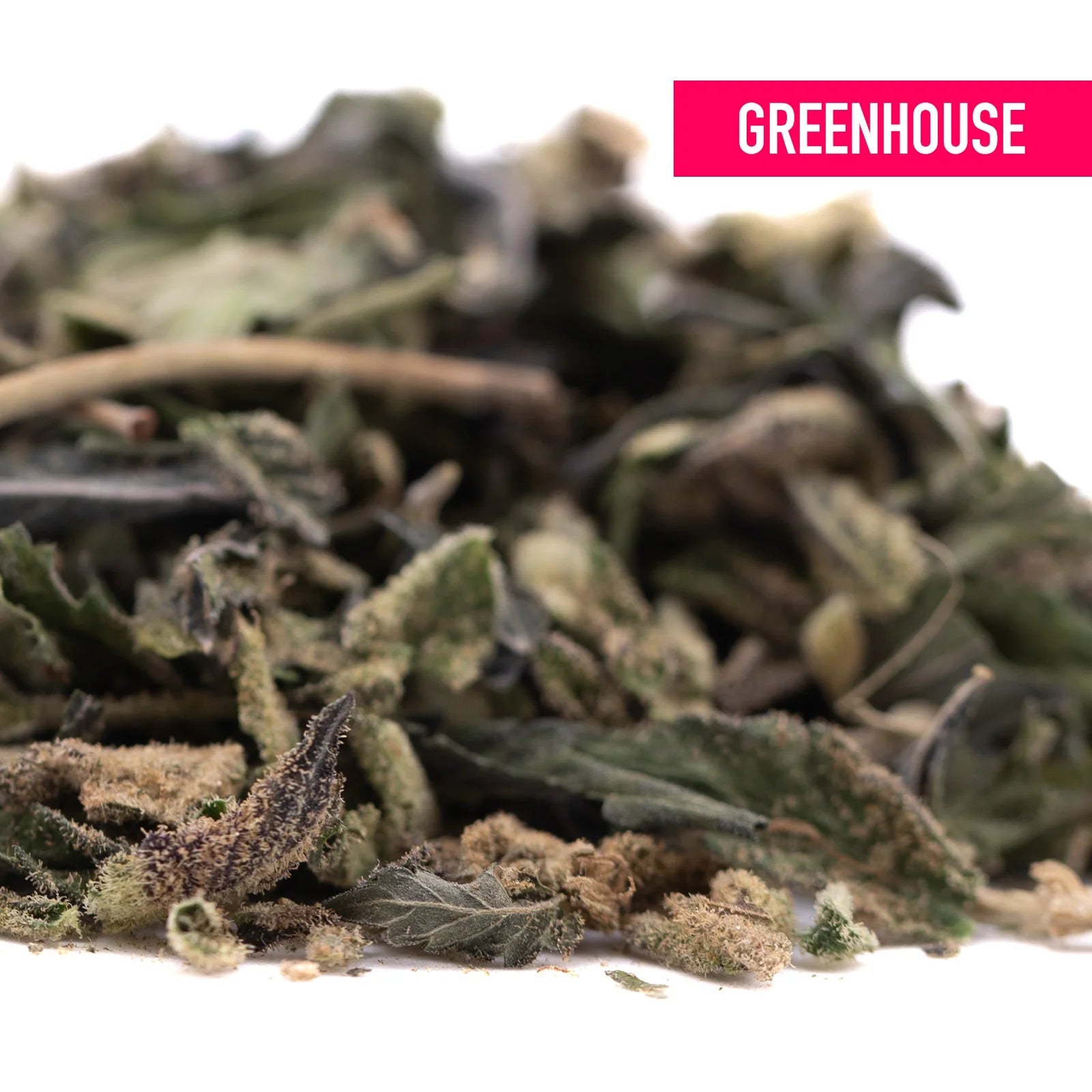 Dried cannabis leaves and buds in green brown and beige from blue sugars greenhouse thca trim for sugar cookies use