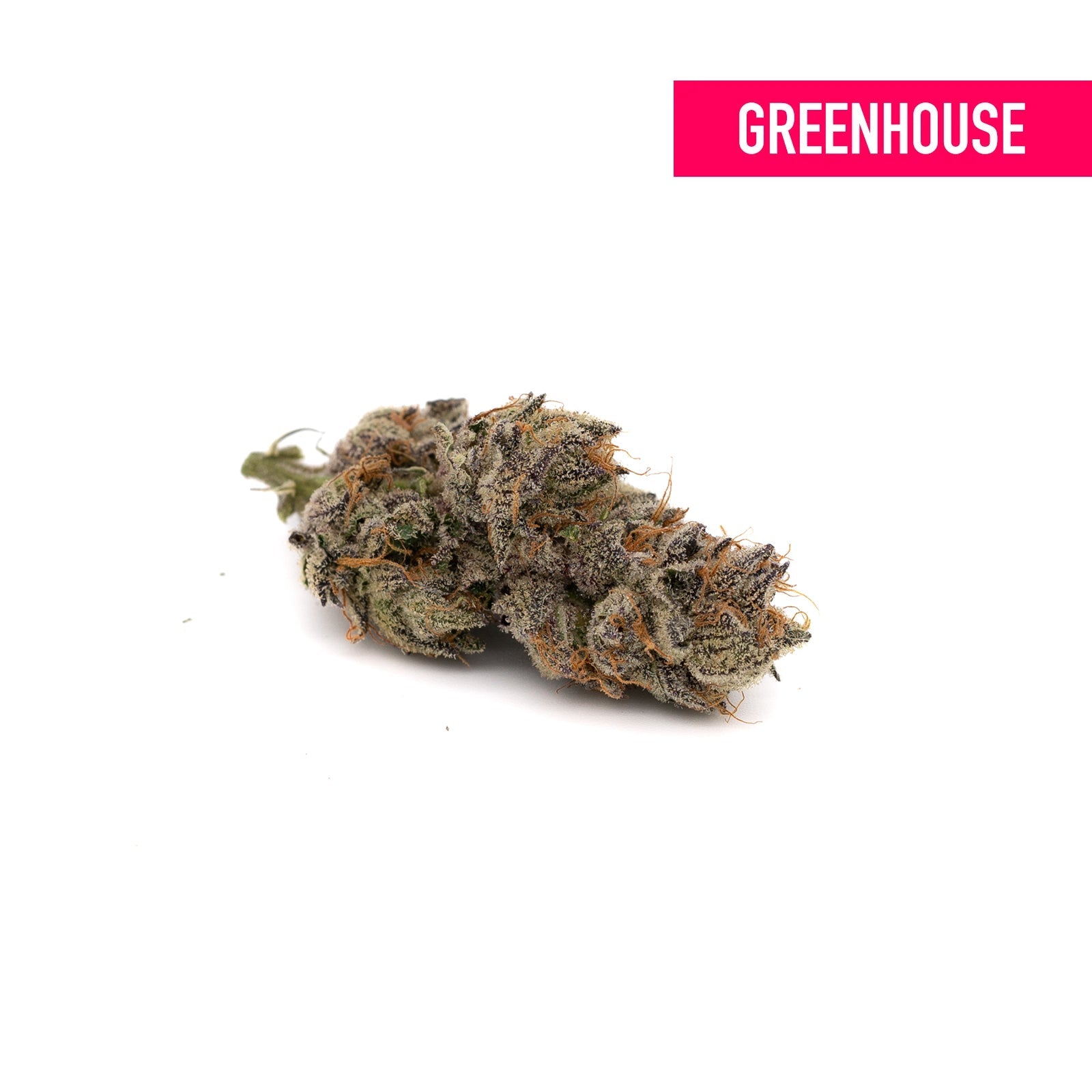 Blueberry Diesel THCa Hemp Flower Greenhouse - Plants