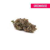 Blueberry Diesel THCa Hemp Flower Greenhouse - Plants