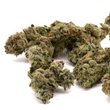 Blueberry Diesel THCa Hemp Flower Greenhouse - Plants