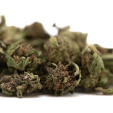 Dried blueberry muffin full-term thca flower buds with green and brown hues and terpene profile from indoor cultivation