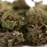 Green and brown blueberry muffin full-term thca flower buds with frosty surface showcasing terpene profile from indoor cultivation