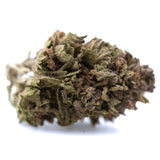 A dense blueberry muffin full-term thca flower wholesale bud with green and brown hues covered in fine trichomes